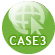 case3